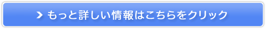 GW\AJf~[̔TCg